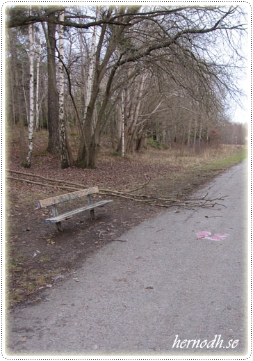 Promenad