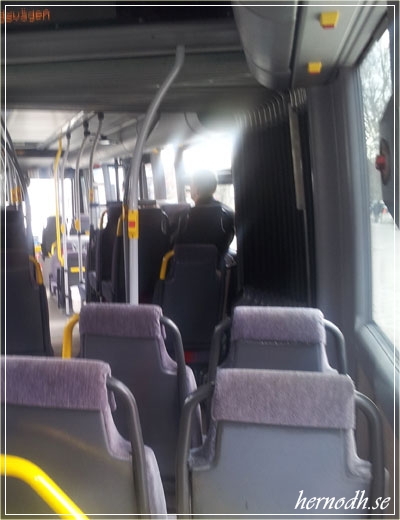 Buss